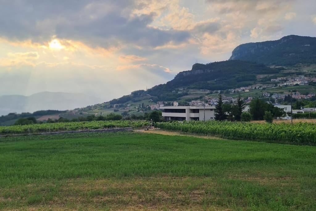 Appartamenti Moderni, Luminosi E Tranquilli Con Parcheggio Privato - Agritur La Tenuta Τρέντο Εξωτερικό φωτογραφία