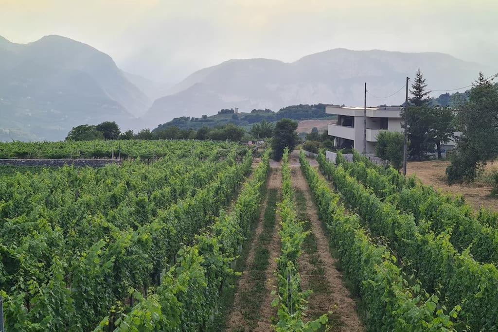 Appartamenti Moderni, Luminosi E Tranquilli Con Parcheggio Privato - Agritur La Tenuta Τρέντο Εξωτερικό φωτογραφία
