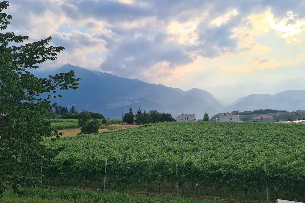 Appartamenti Moderni, Luminosi E Tranquilli Con Parcheggio Privato - Agritur La Tenuta Τρέντο Εξωτερικό φωτογραφία
