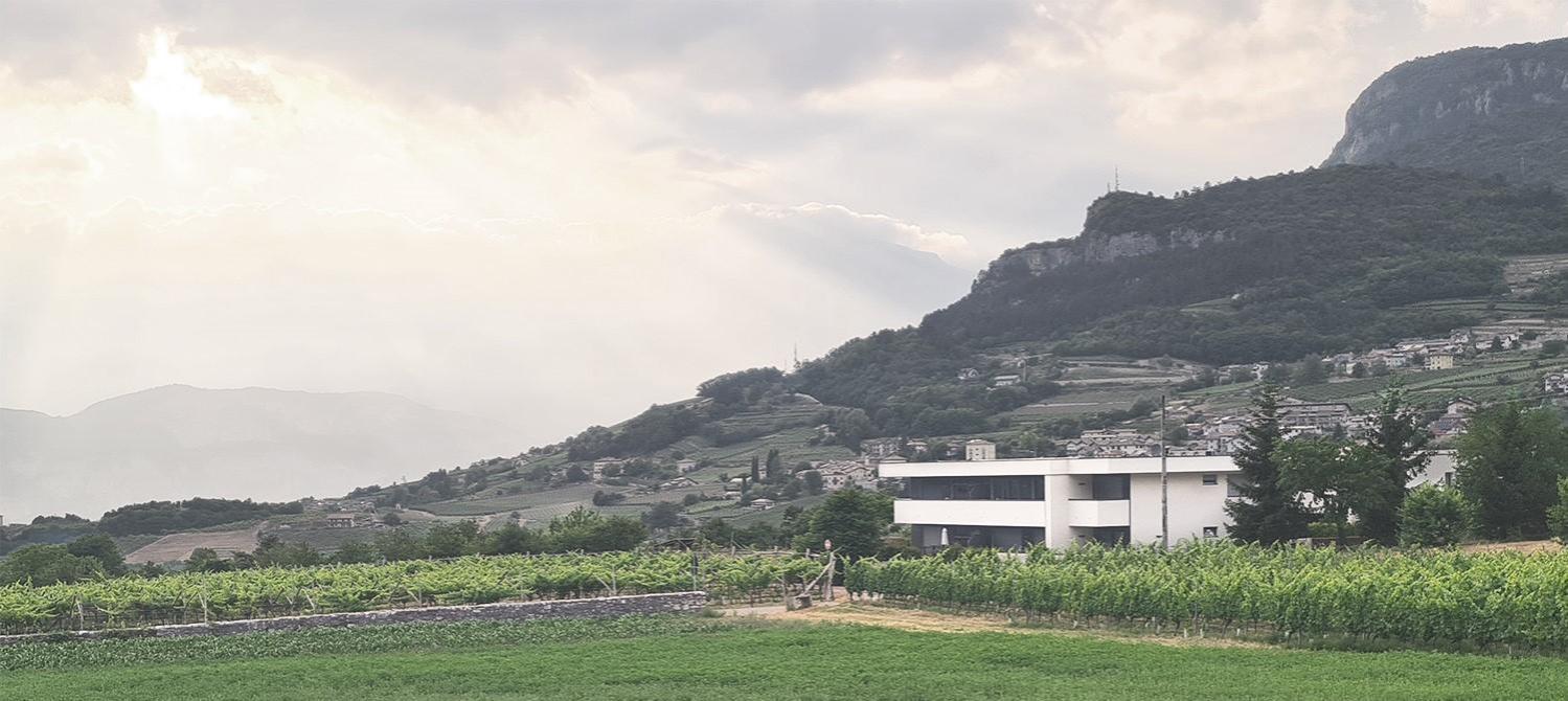 Appartamenti Moderni, Luminosi E Tranquilli Con Parcheggio Privato - Agritur La Tenuta Τρέντο Εξωτερικό φωτογραφία