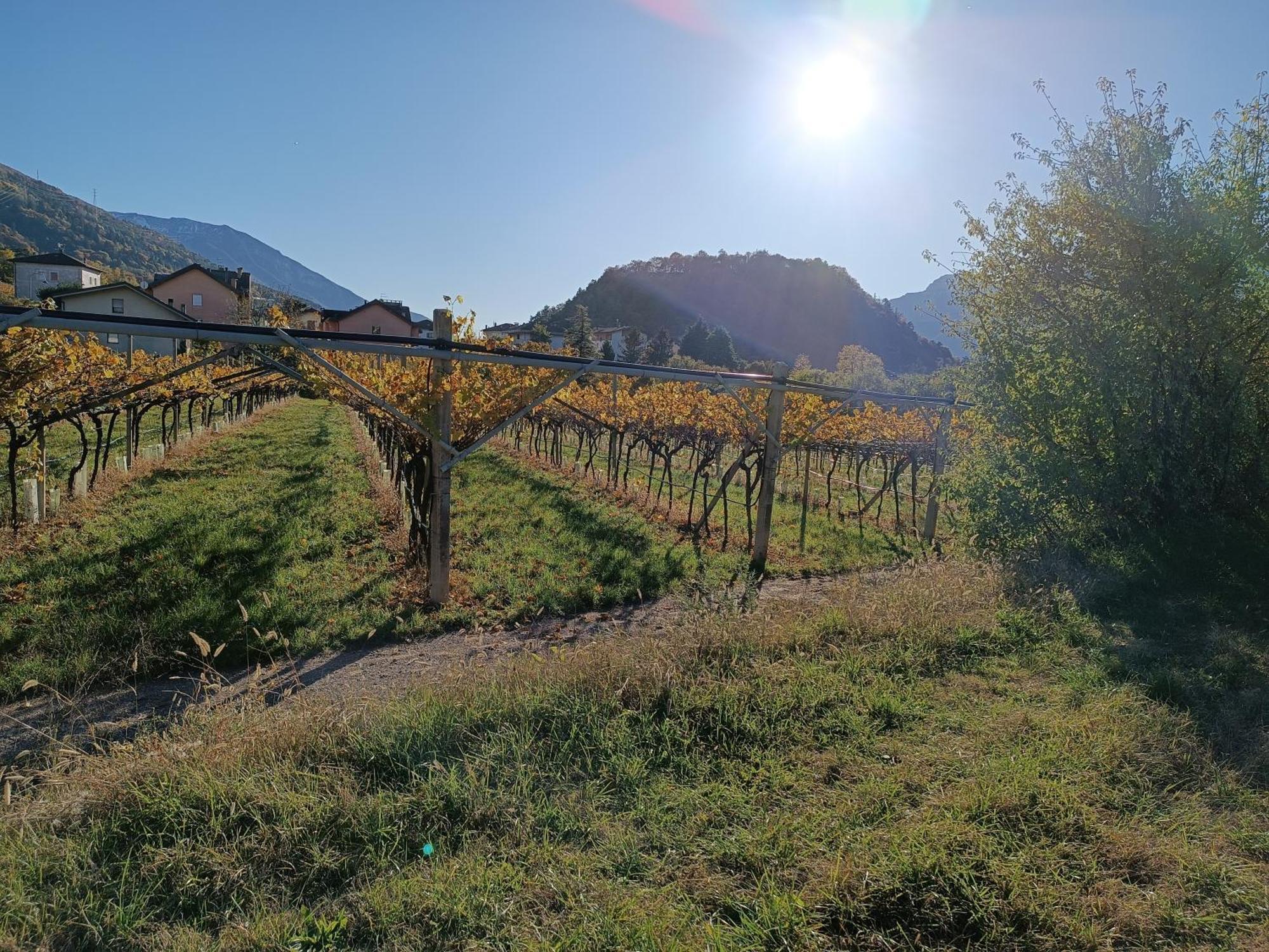 Appartamenti Moderni, Luminosi E Tranquilli Con Parcheggio Privato - Agritur La Tenuta Τρέντο Εξωτερικό φωτογραφία